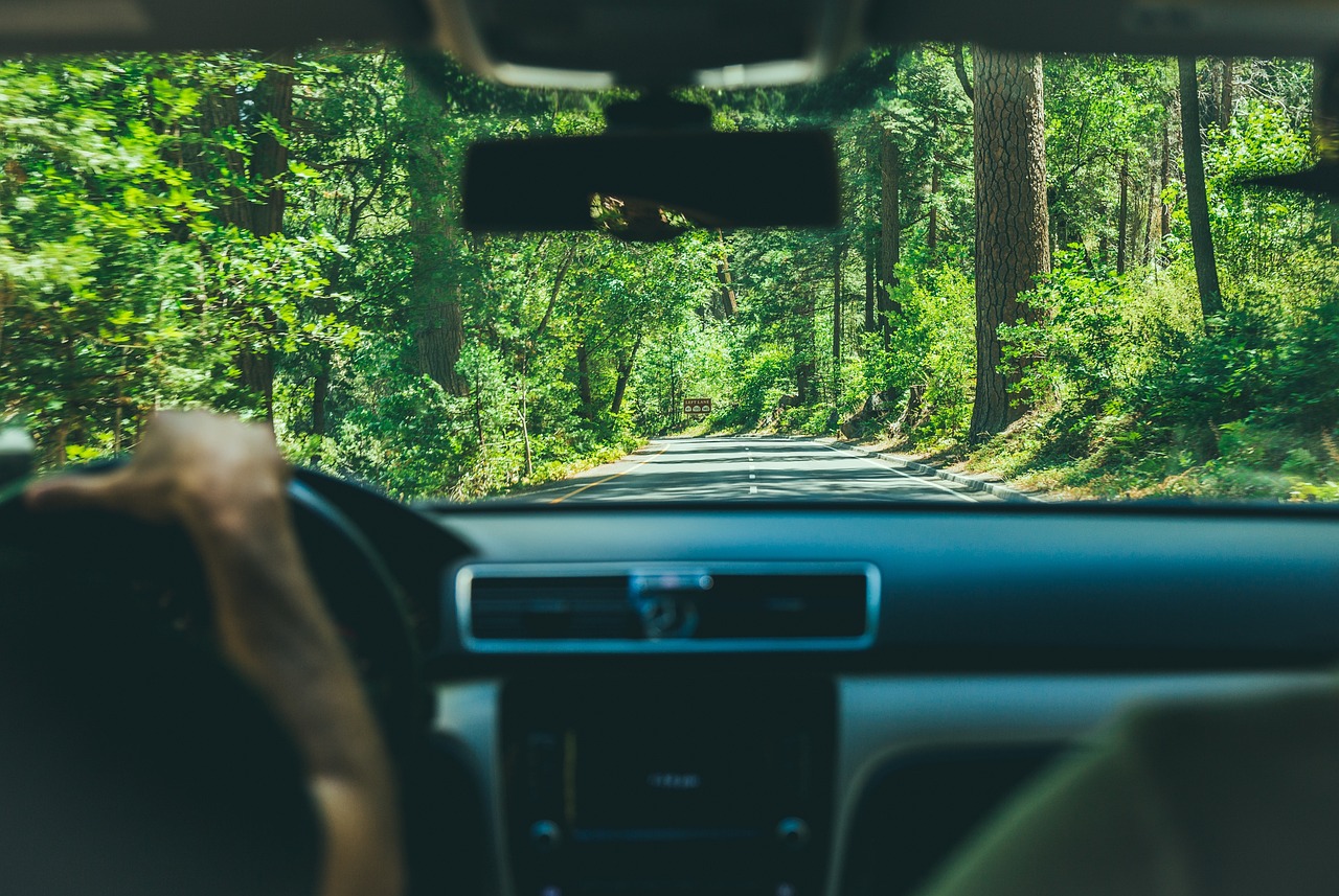 a forest road in front of a used car