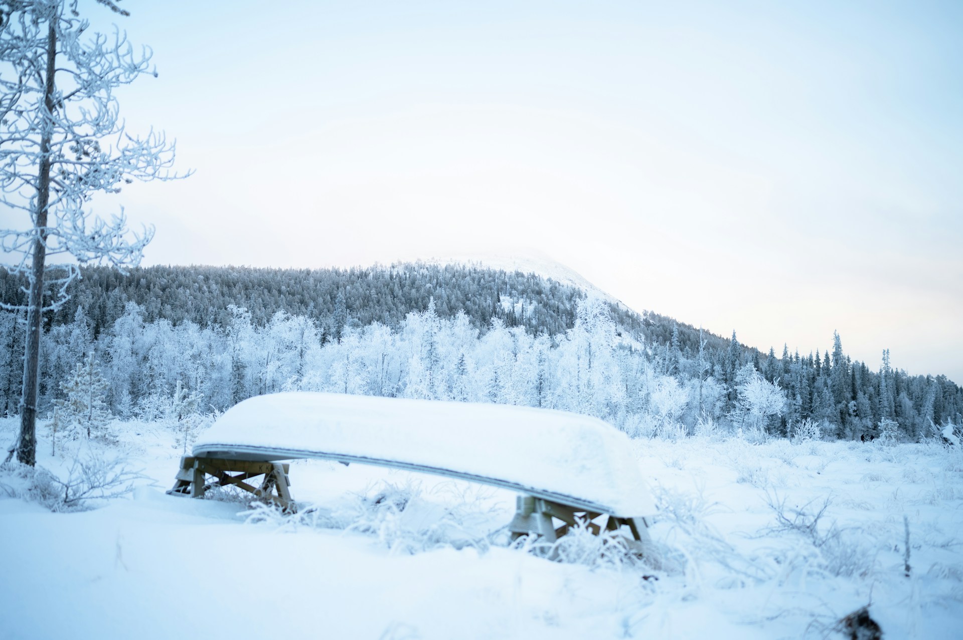 car completely covered with snow