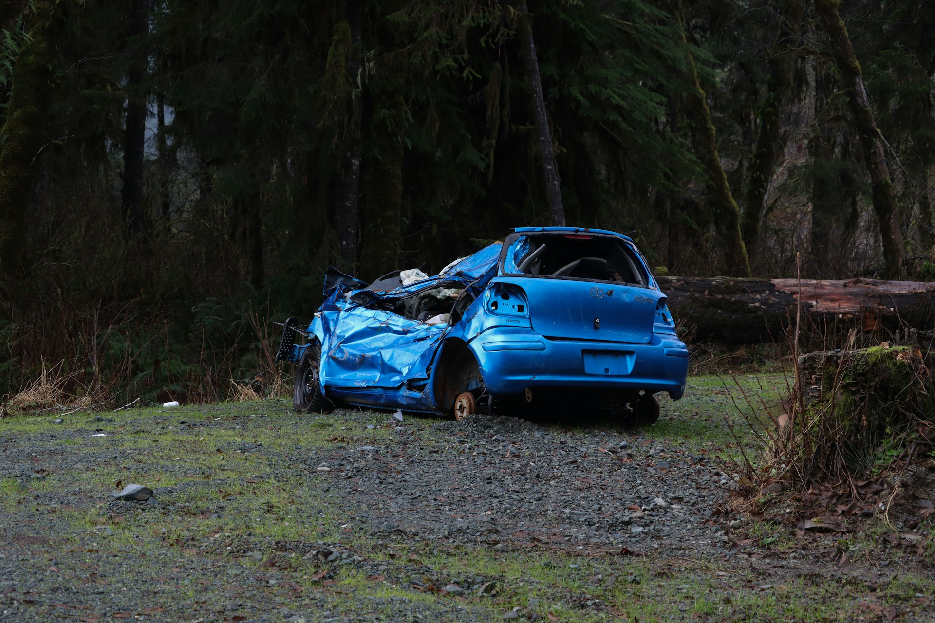 totaled car with a damaged frame in the forest