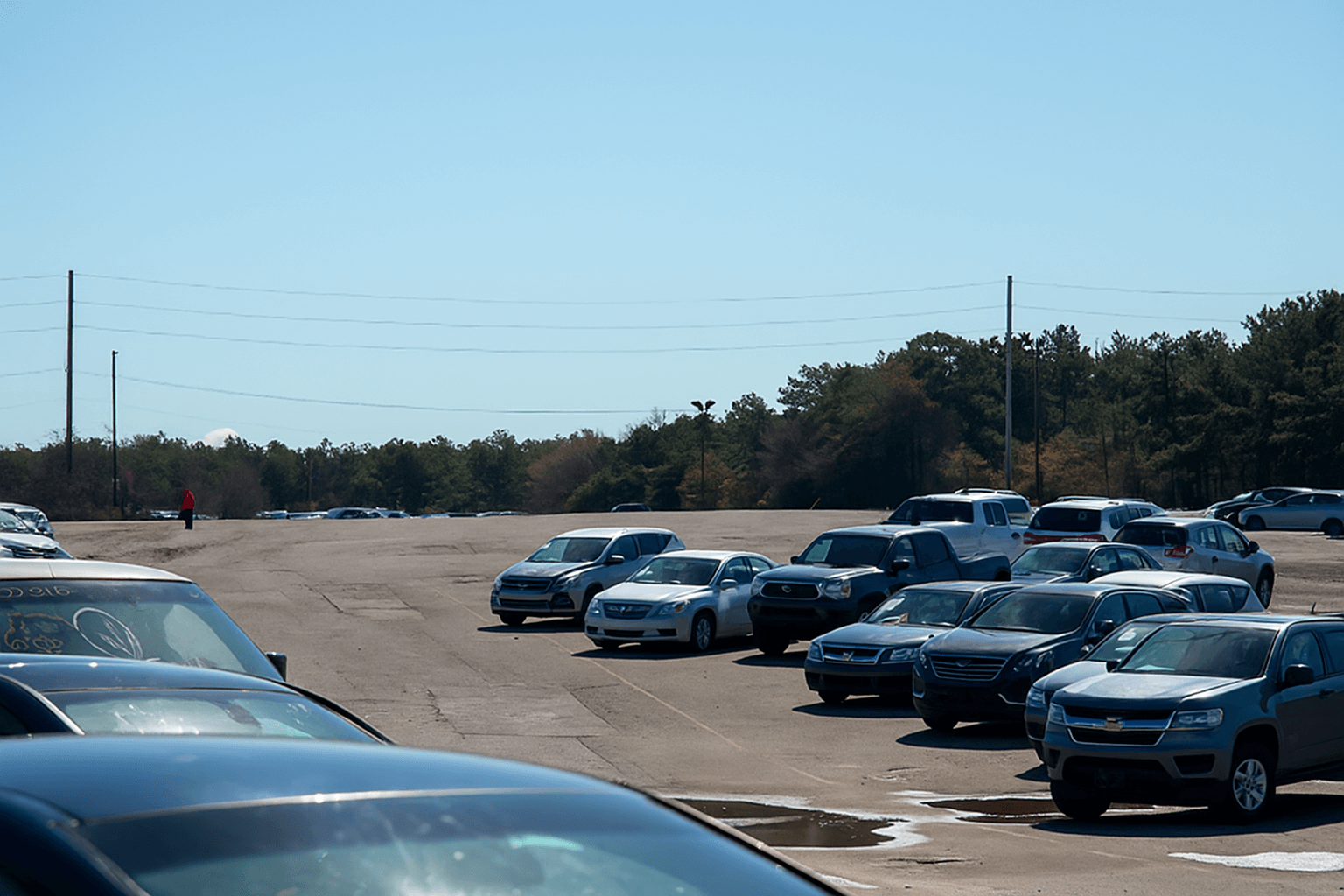 salvage auto auction inventory