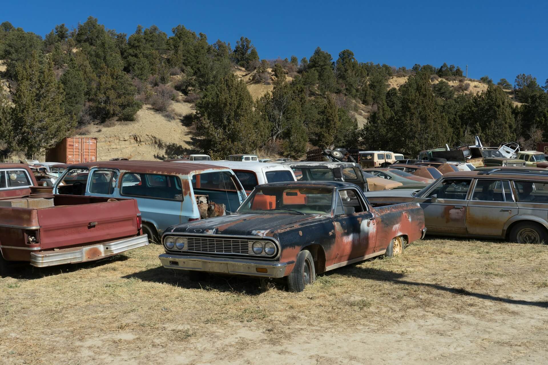 abandoned auto auction yard